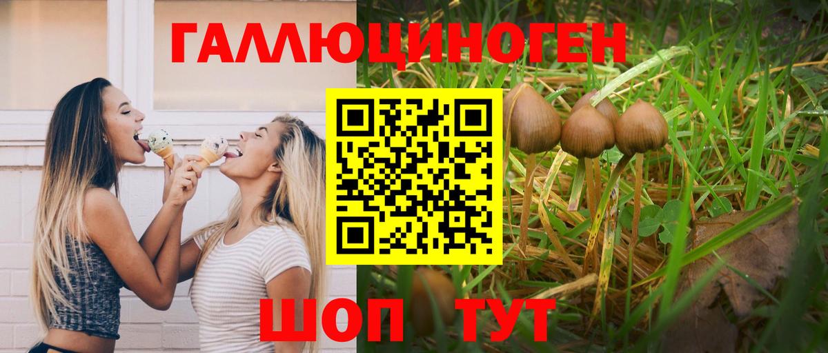 Бузулук  Псилоцибиновые грибы MAGIC MUSHROOMS  Вход с VPN  Псилоцибиновые грибы мухоморы 